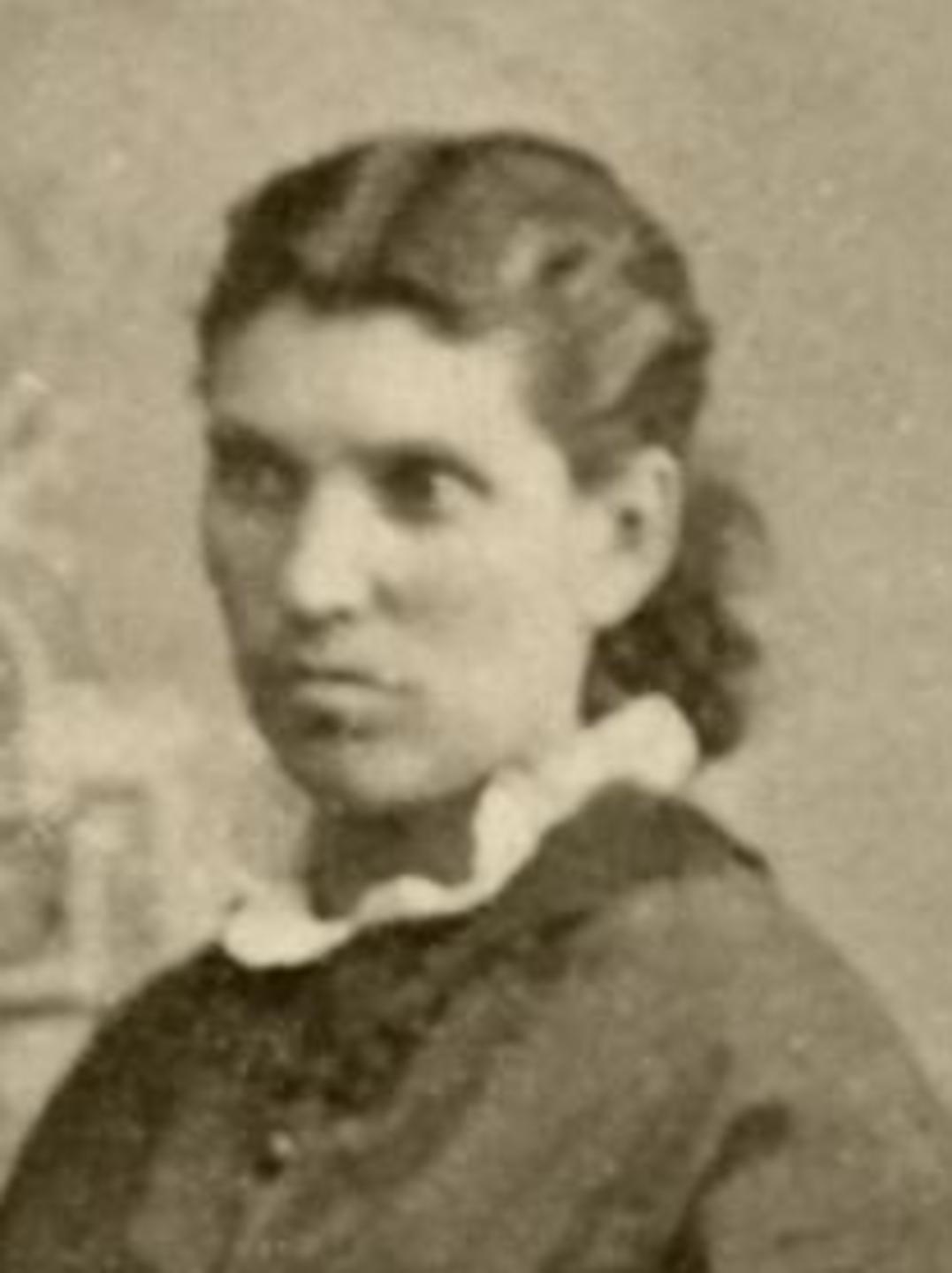 Aseneth Viola Wilcox (1845 - 1927) Profile